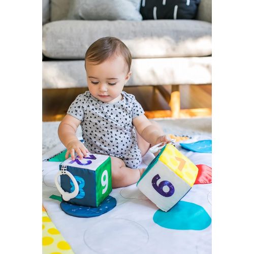  Visit the Baby Einstein Store Baby Einstein Sensory Play Space Newborn-to-Toddler Discovery Gym