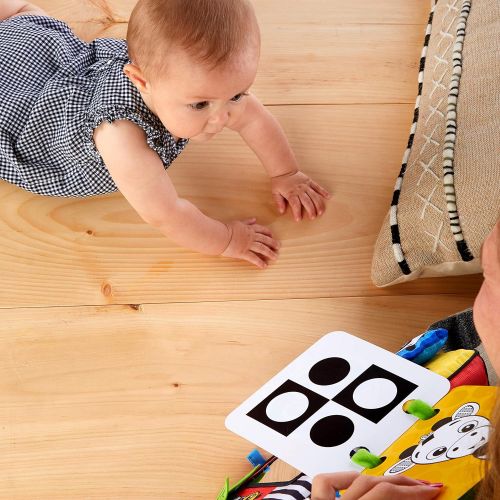  Baby Einstein Flip For Art High Contrast Floor Activity Mirror with Take Along Cards, Newborn Plus