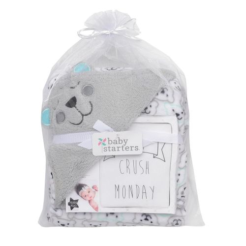  Baby Starters 13-Piece Modern Moments Blanket and Photo Prop Cards Set