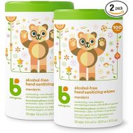 Babyganics Alcohol-Free Hand Sanitizing Wipes, Mandarin, Kills 99.9% of Common Bacteria, Moisturizing, 200 Count, (100 Count, 2 Pack), Packaging May Vary