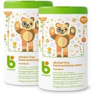 Babyganics Alcohol-Free Hand Sanitizer Wipes, Mandarin, 100 ct, 2 Pack, Packaging May Vary