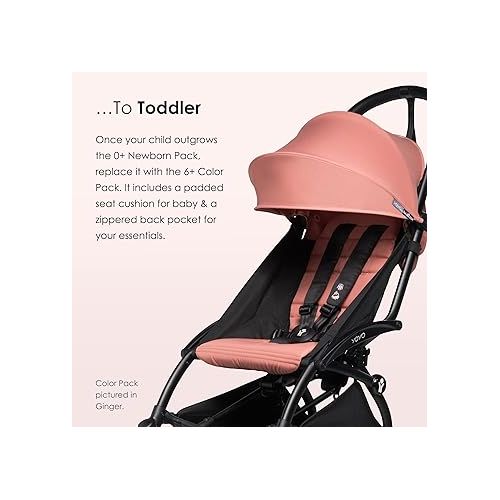  BABYZEN YOYO2 Stroller & 0+ Newborn Pack - Includes Black Frame, Toffee 6+ Color Pack & Toffee 0+ Newborn Pack - Suitable for Children Up to 48.5 Pounds