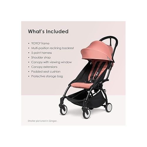  BABYZEN YOYO2 Stroller + YOYO Bag - Includes Black Frame, Stone Seat Cushion, Stone Canopy, Stone YOYO Bag, Wheel Base & Hooks - Suitable for Children Up to 48.5 Lbs