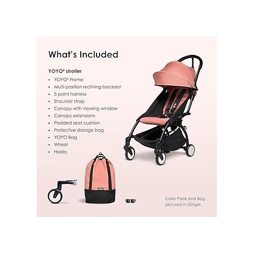  BABYZEN YOYO2 Stroller + YOYO Bag - Includes Black Frame, Toffee Seat Cushion, Toffee Canopy, Toffee YOYO Bag, Wheel Base & Hooks - Suitable for Children Up to 48.5 Lbs