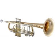 Bach 190L65GV Stradivarius Professional Bb Trumpet - Vindabona Conical Bore - Clear Lacquer