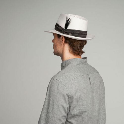  Bailey of Hollywood Anderson LiteStraw Fedora