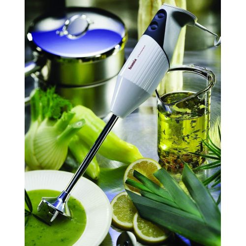  Bamix Professional G200 - 200 Watt 2 Speed 4 Blade Immersion Hand Blender with Wall Bracket