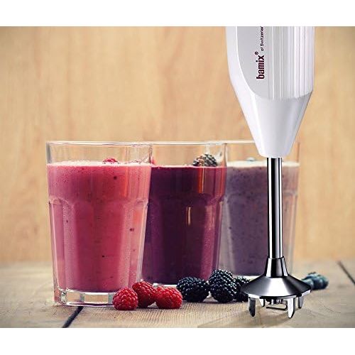  Bamix Pro-3 GL200 Professional Series NSF Rated 200 Watt 2 Speed 3 Blade Immersion Hand Blender with Wall Bracket