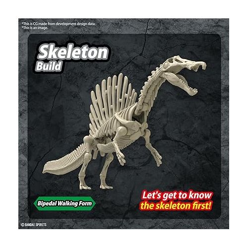 반다이 Bandai Hobby - Plannosaurus - #05 Spinosaurus, Bandai Spirits Dinosaur Model Kit