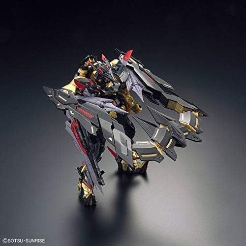 반다이 Bandai Hobby - Gundam Seed Astray - #24 Gundam Astray Gold FrameAmatsu Mina, Bandai RG