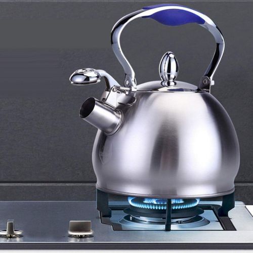  Baoblaze 2.5L Edelstahl Induktion Wasserkocher Teekessel Pfeifkessel mit Rutschfest Kunststoff Griff - Blau