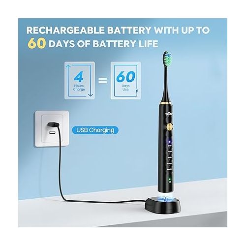  Bear Electric Toothbrush with 6 Brush Heads & Travel Case, Sonic Toothbrush with 5 Brushing Modes & Smart Timers (Black)