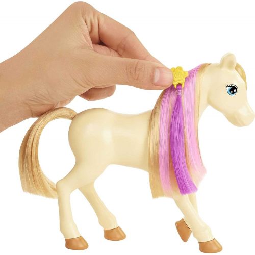 바비 Barbie Groom n Care Horses Playset Doll (Blonde 11.5-in), 2 Horses & 20+ Grooming and Hairstyling Accessories, Gift for 3 to 7 Year Olds [Amazon Exclusive]