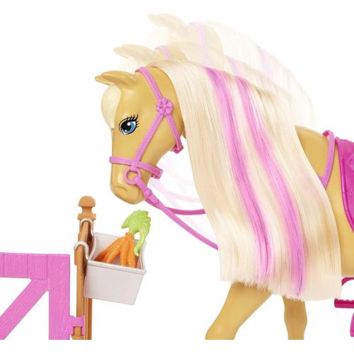 바비 Barbie Groom n Care Horses Playset Doll (Blonde 11.5-in), 2 Horses & 20+ Grooming and Hairstyling Accessories, Gift for 3 to 7 Year Olds [Amazon Exclusive]