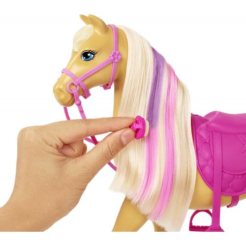 바비 Barbie Groom n Care Horses Playset Doll (Blonde 11.5-in), 2 Horses & 20+ Grooming and Hairstyling Accessories, Gift for 3 to 7 Year Olds [Amazon Exclusive]