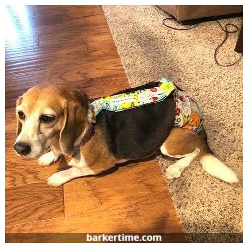  Barkertime Dog Diaper Overall - Made in USA - Flower Garden Escape-Proof Washable Dog Diaper Overall for Dog Incontinence, Marking, Housetraining and Females in Heat