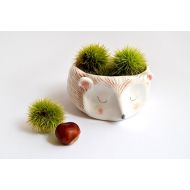 Barruntando Hedgehog Bowl in White Clay Decorated with Pigments in Brown, Pink and Black. Ready To Ship