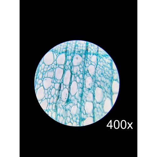  Barska 40x, 100x, 400x Monocular Compound Microscope by Barska