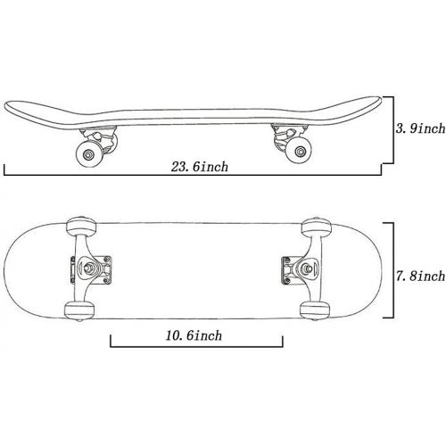  Bassett Girl Skateboard Standard Longboard Skateboard Childrens Skateboard for 6-12 Years Old (Spiderman)