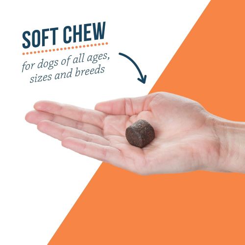 Bayer Animal Health Bayer Synovi G4 Soft chews for Dogs, Joint Supplement, Glucosamine, Turmeric, Boswelllia serrata, Creatine with Naturally Derived Ingredients for dogs of all ages, sizes and breeds
