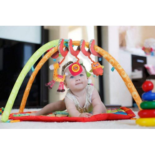  Beautiful Valley Baby Activity Toy - Wrap Around Stroller, Crib, Pram, Bassinet - Bed Hanging Toys, Baby Stroller Toy, Car Seat Toy - Music Mobile