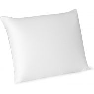 Beautyrest Latex Foam Pillow (Standard 2 Pack)