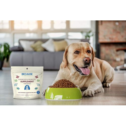  Because Animals Superfood & Probiotic Supplement for Dogs (4.4oz) - All-Natural, Human-Grade Ingredients -with Vitamins, Minerals, Antioxidants and More for Better Digestion, Coat