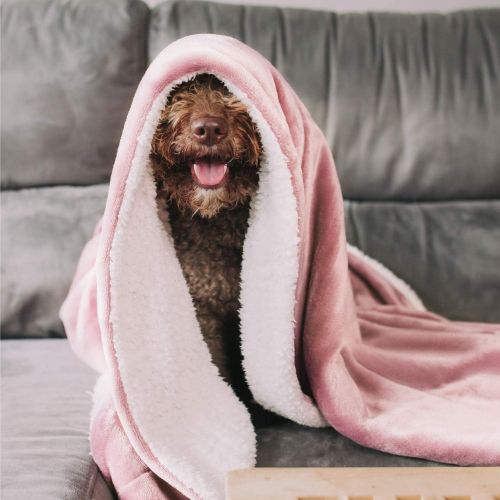  [아마존 핫딜] [아마존핫딜]Bedsure Sherpa Fleece Blanket Twin Size Pink Plush Blanket Fuzzy Soft Blanket Microfiber