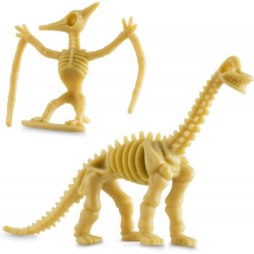  Bedwina Dinosaur Fossil Skeleton (24 Pieces) Assorted Figures Dino Bones, 3.7 Inch - for Science Play, Dino Sand Dig, Party Favor, Decorations and Stocking Stuffer