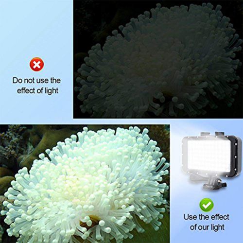  BeesClover BEESCLOVER Waterproof LED Video Light 84 LED High Power Dimmable Waterproof LED Video Light Waterproof Underwater Lights Dive Light Gopro Canon Nikon Black