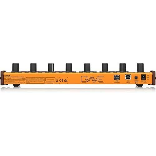  Behringer Synthesizer (CRAVE)