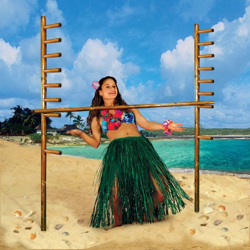  Beistle Limbo Game for Luau Birthday Party Summer Tropical Beach Theme Fun, Multicolored