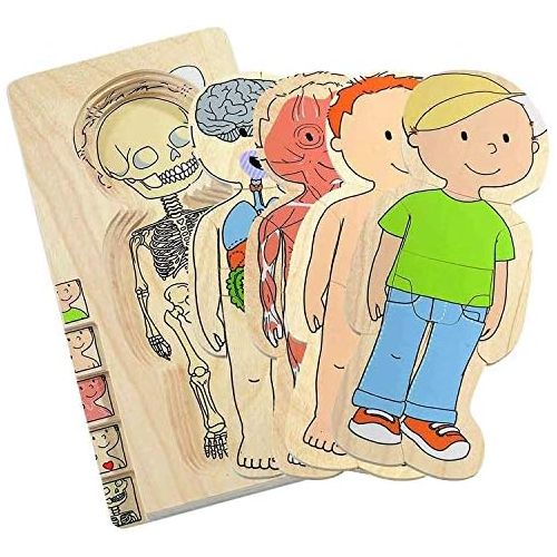  [아마존베스트]Hape Your Body 5-Layer Wooden Puzzle Boy