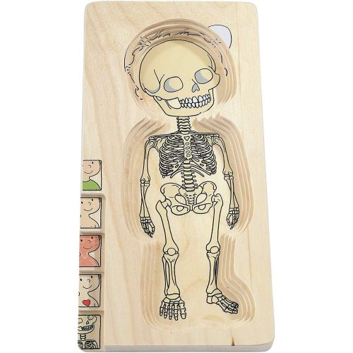  [아마존베스트]Hape Your Body 5-Layer Wooden Puzzle Boy