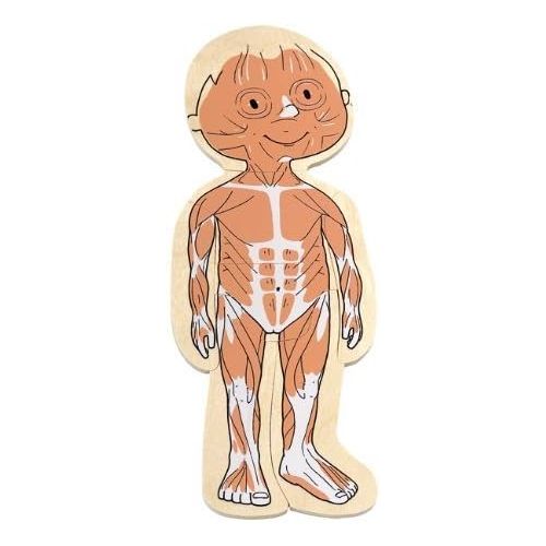  Beleduc Hape Your Body 5-Layer Wooden Puzzle Girl