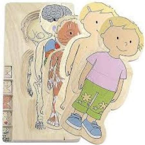  Beleduc Hape Your Body 5-Layer Wooden Puzzle Girl