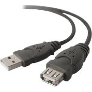 Belkin USB 2.0 Extension Cable (F3U134b16)