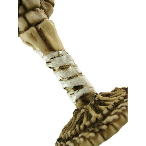  [아마존베스트]Bellaa 21022 Ossuary Style Skeletal Wine Goblet Bones 8 inch