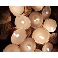 Bellinspired seashells, shell candle, seashell tealights, unique candle, tealight, candle, seashell candle, beach decor, candle gift, decorative candle