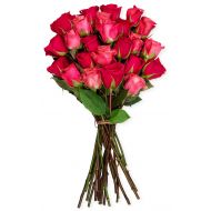 Benchmark Bouquets 2 Dozen Blushing Beauty Roses, No Vase (Fresh Cut Flowers)