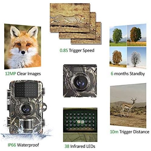  [아마존베스트]-Service-Informationen Benkeg 12 MP 1080p Hunting Camera, Trail and Wildlife Camera, Motion Activated Surveillance Camera, IP66 Waterproof Hunting Camera with Infrared Night Vision