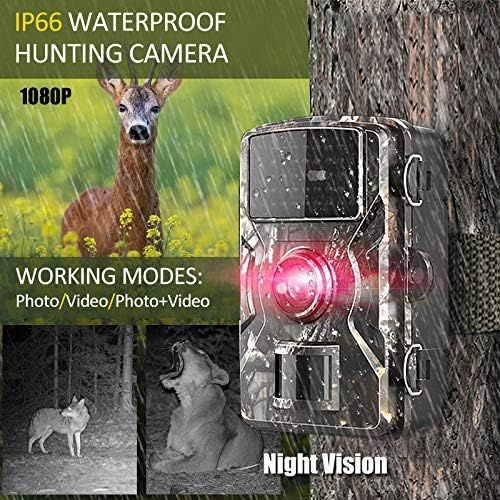  [아마존베스트]-Service-Informationen Benkeg 12 MP 1080p Hunting Camera, Trail and Wildlife Camera, Motion Activated Surveillance Camera, IP66 Waterproof Hunting Camera with Infrared Night Vision