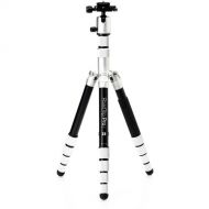 Benro MeFOTO RoadTrip Pro Aluminum Series 1 Travel Tripod with Ball Head and Monopod (Silver)