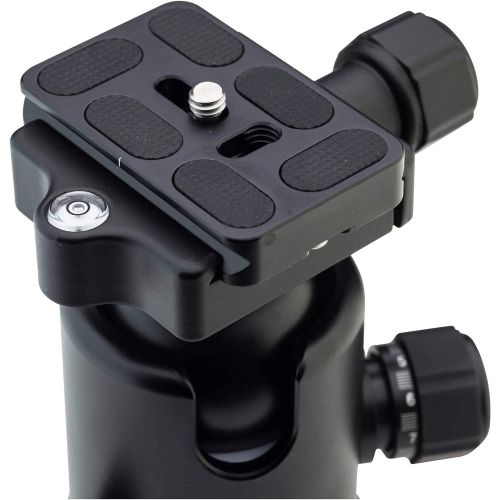  Benro Double Action Ball Head w PU40 Quick Release Plate (B00)