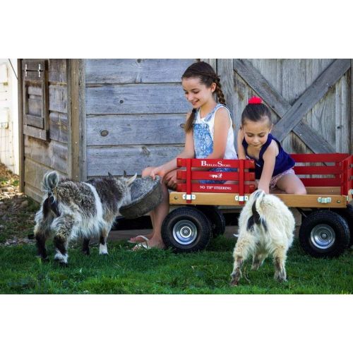  Berlin Flyer Ride Sport Wagon for Kids, All Terrain - Amish Made In the USA - Huge No-Flat Tires - No-Pinch Handle & No-Tip Steering, 300 lb Limit - F410-SS Wagon