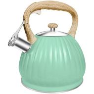 Beruyu Stove Top Whistling Tea Kettle Pumpkin Pot, Stainless Steel Teapot with Wood Pattern Anti scald Handle, 3.5L (Green)