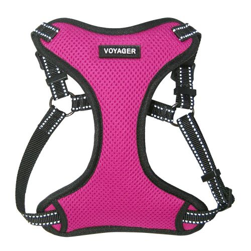  Best Pet Supplies, Inc. Voyager Step-In Flex Dog Harness - All Weather Mesh, Step In Adjustable Harness for Small and Medium Dogs by Best Pet Supplies