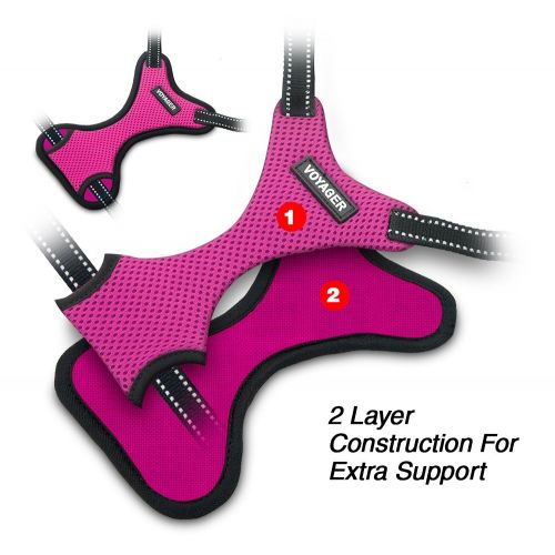  Best Pet Supplies, Inc. Voyager Step-In Flex Dog Harness - All Weather Mesh, Step In Adjustable Harness for Small and Medium Dogs by Best Pet Supplies