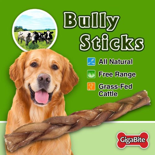  Best Pet Supplies, Inc. GigaBite Odor-Free Braided Bully Sticks - USDA & FDA Certified All Natural, Free Range Beef Pizzle Dog Treat - by Best Pet Supplies