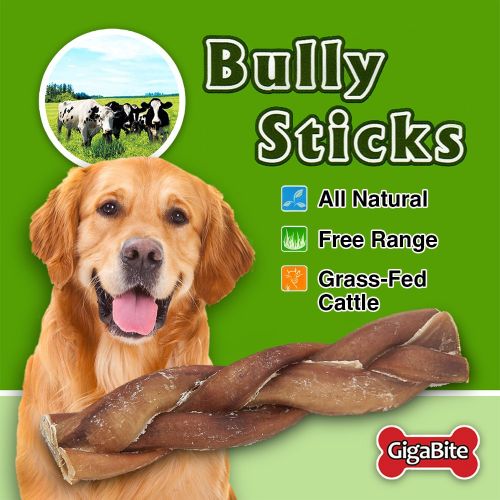  Best Pet Supplies, Inc. GigaBite 1-Pound Odor-Free Bully Sticks  USDA & FDA Certified All Natural, Free Range Beef Pizzle Dog Treat